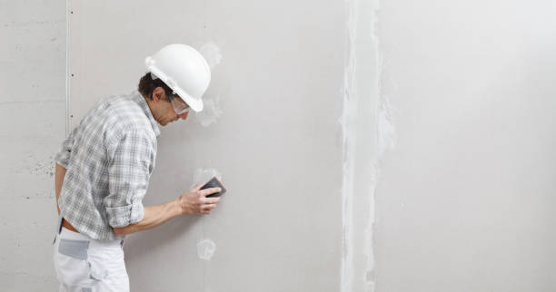 Best Drywall Texturing  in Florence, TX